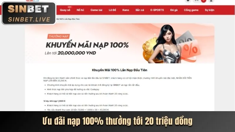 Chương trình VIP 365vn